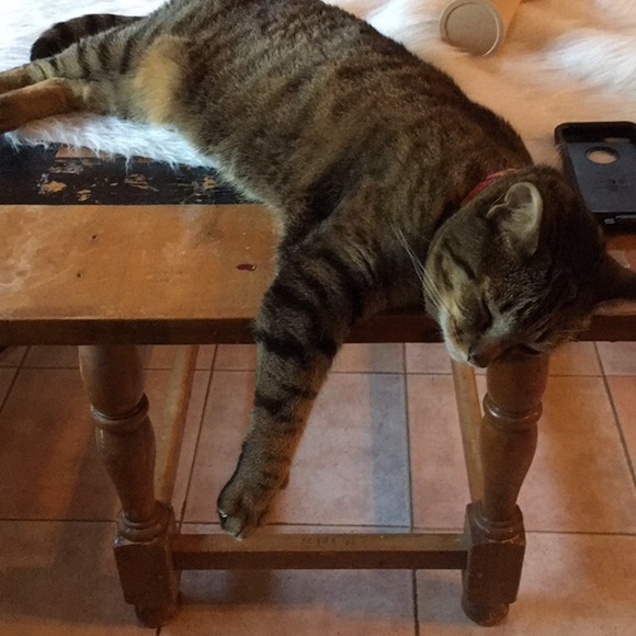 Meet your Posher, Leslie - Picture 3 of 4